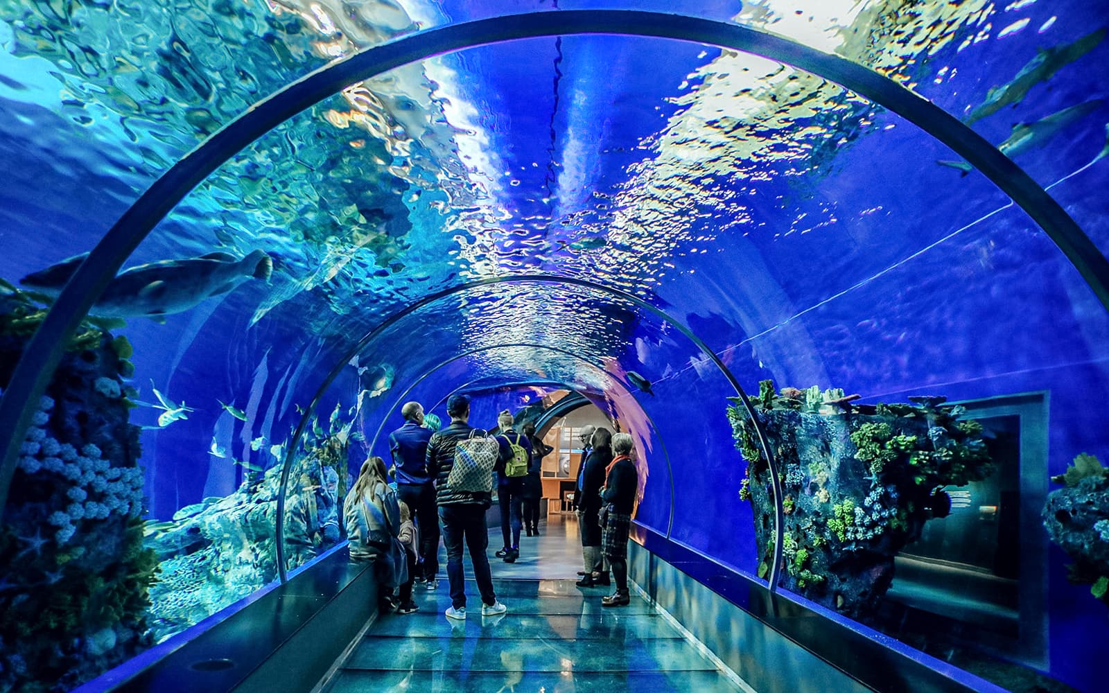 From San Francisco: Alcatraz, Aquarium of the Bay, & Napa/Sonoma Wine Country 2-Day Trip tickets in San Francisco - Features | TickYourList