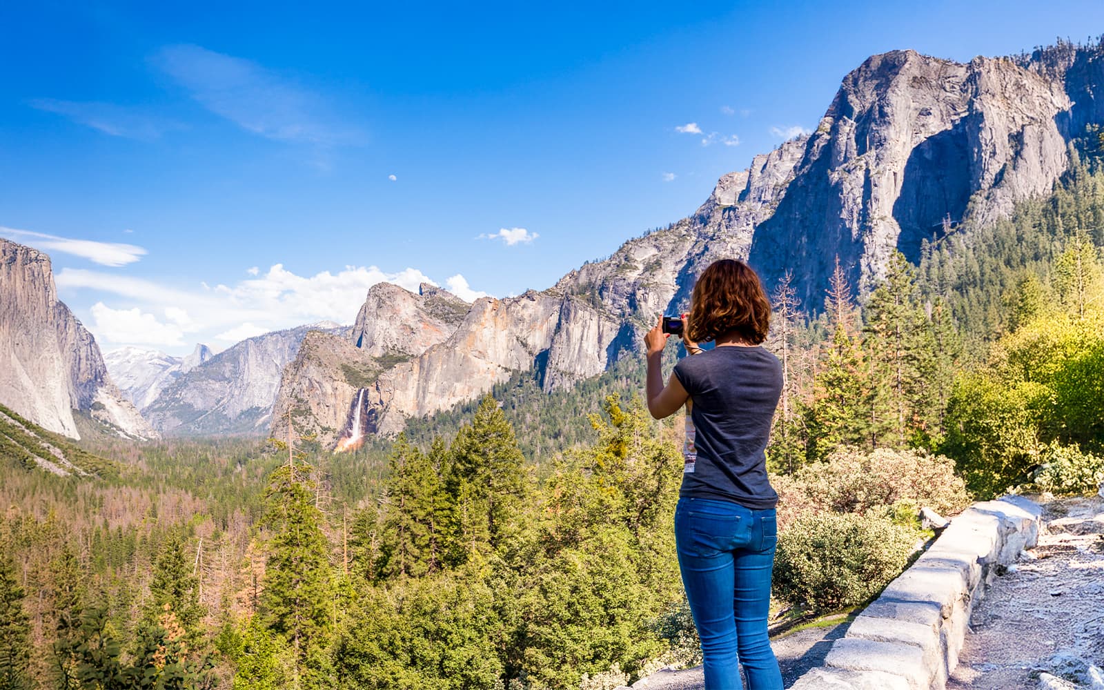 From San Francisco: Alcatraz, Aquarium of the Bay & Yosemite 2-Day Trip