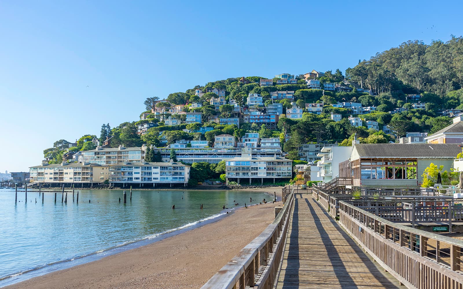 From San Francisco: Alcatraz, Muir Woods, & Sausalito Day Trip tickets in San Francisco - Activities | TickYourList