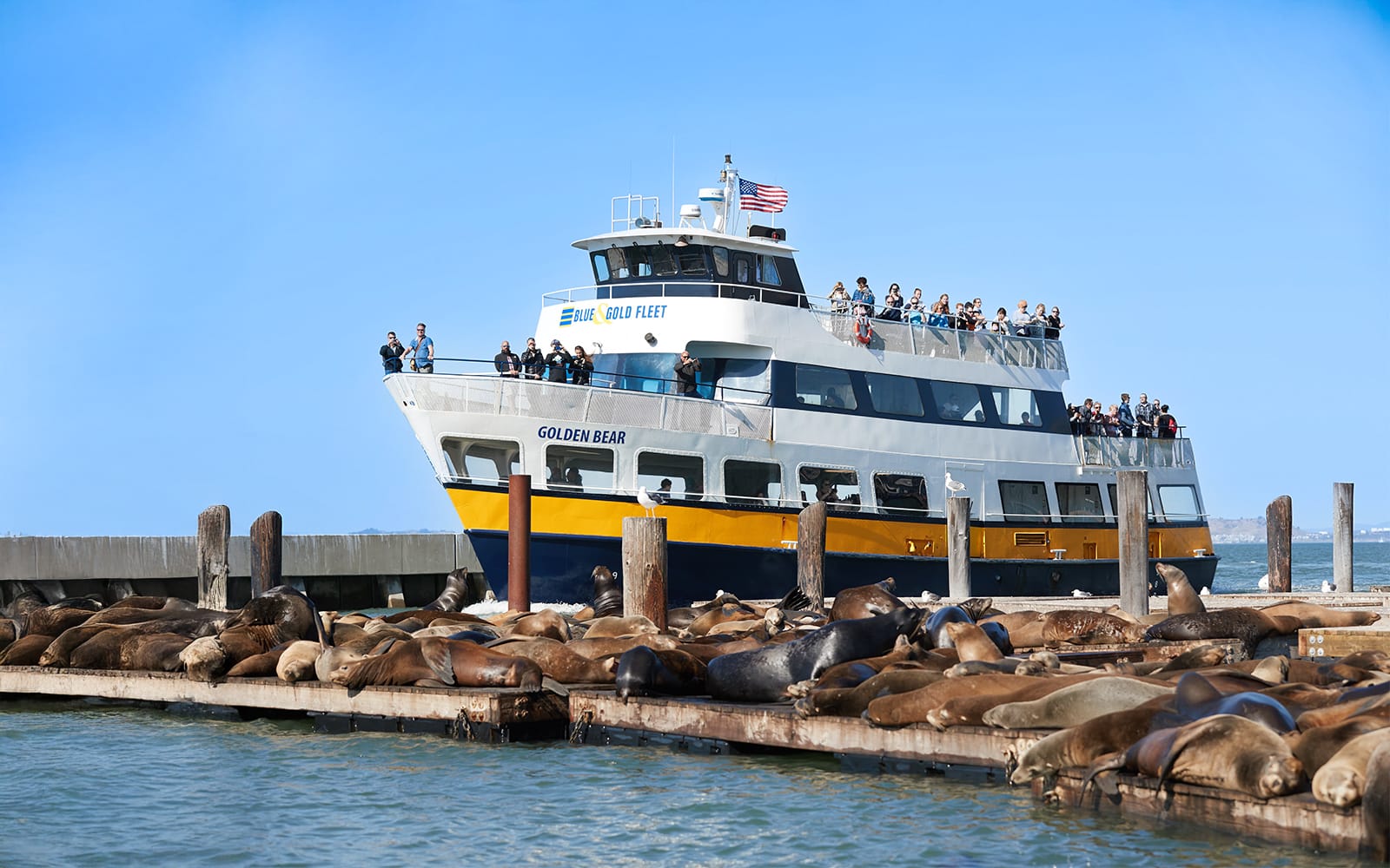 Golden Gate Bay Cruise tickets in San Francisco - Highlights | TickYourList