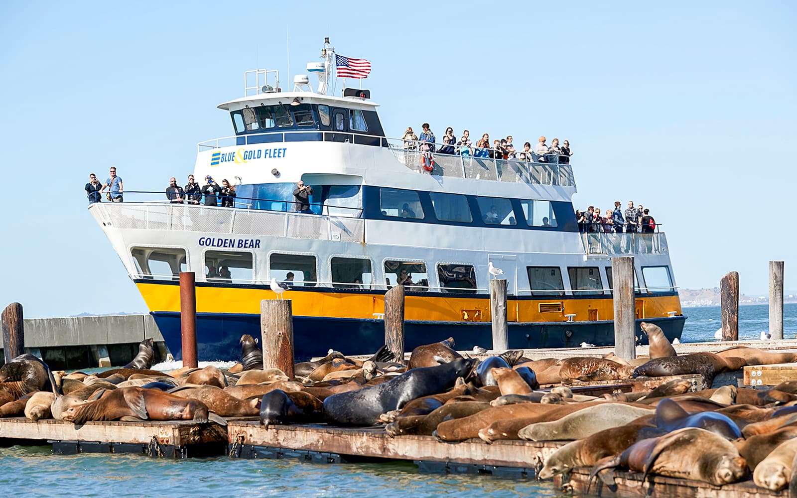 Alcatraz Tour and San Francisco Bay Cruise tickets in San Francisco - Features | TickYourList
