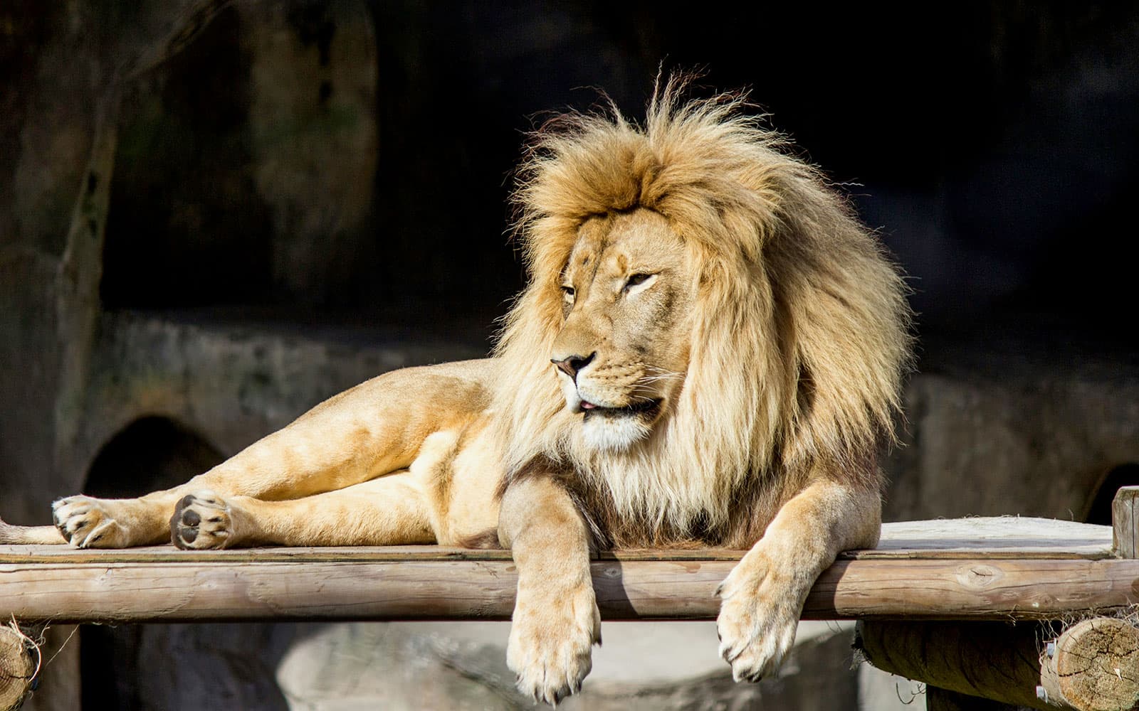 San Francisco Zoo Tickets experience in San Francisco | TickYourList