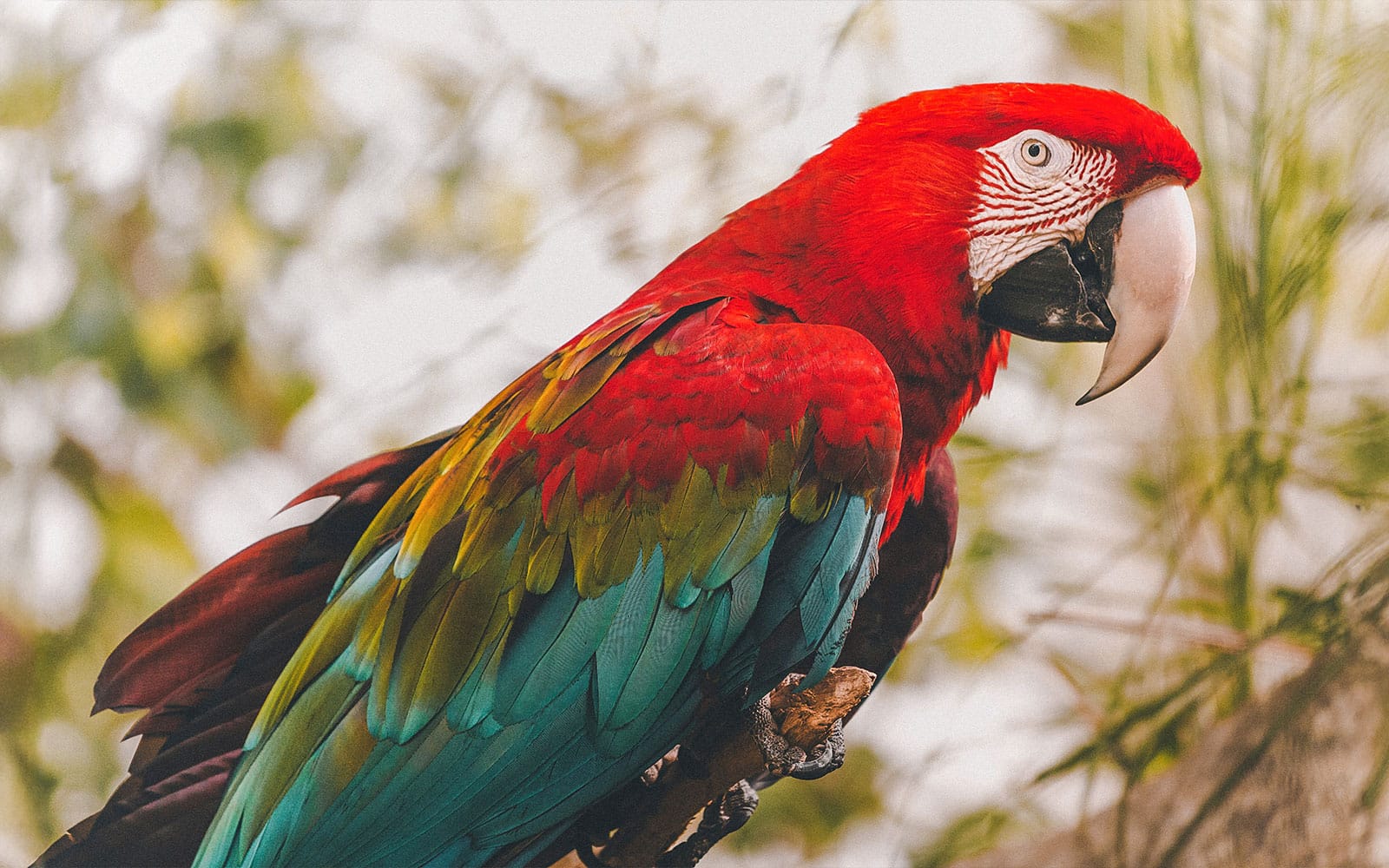 San Francisco Zoo Tickets in San Francisco - Attractions | TickYourList