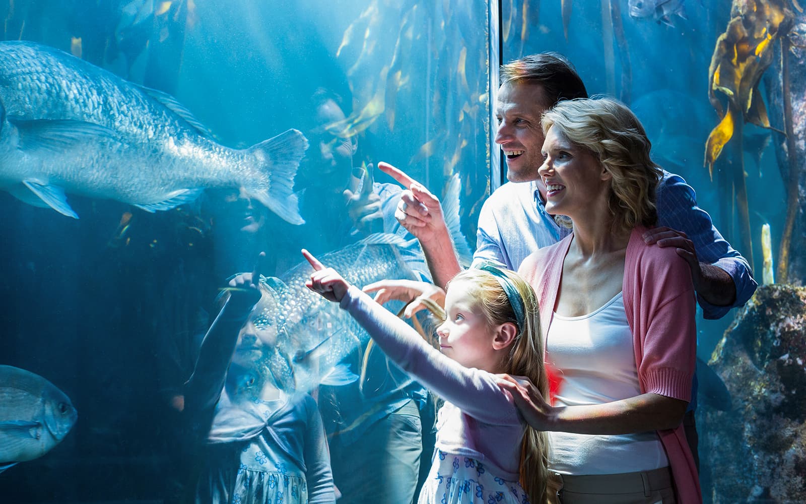 Go City Chicago Explorer Pass: Choose from 30+ Attractions tickets in Chicago - Features | TickYourList