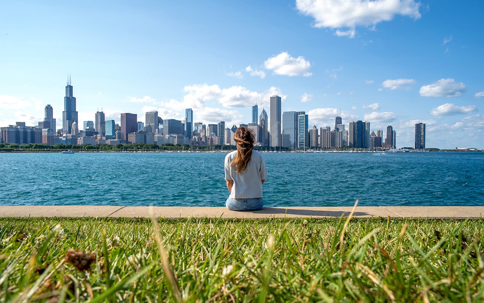 Chicago Skydeck & Architecture Cruise with Small Group Guided Tour