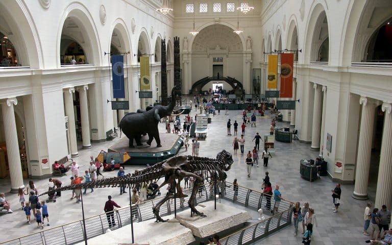 Field Museum of Natural History tickets in Chicago | TickYourList