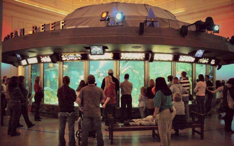 Shedd Aquarium Super Saver Pass