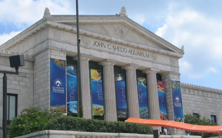 Shedd Aquarium Super Saver Pass tickets in Chicago - Book Now | TickYourList