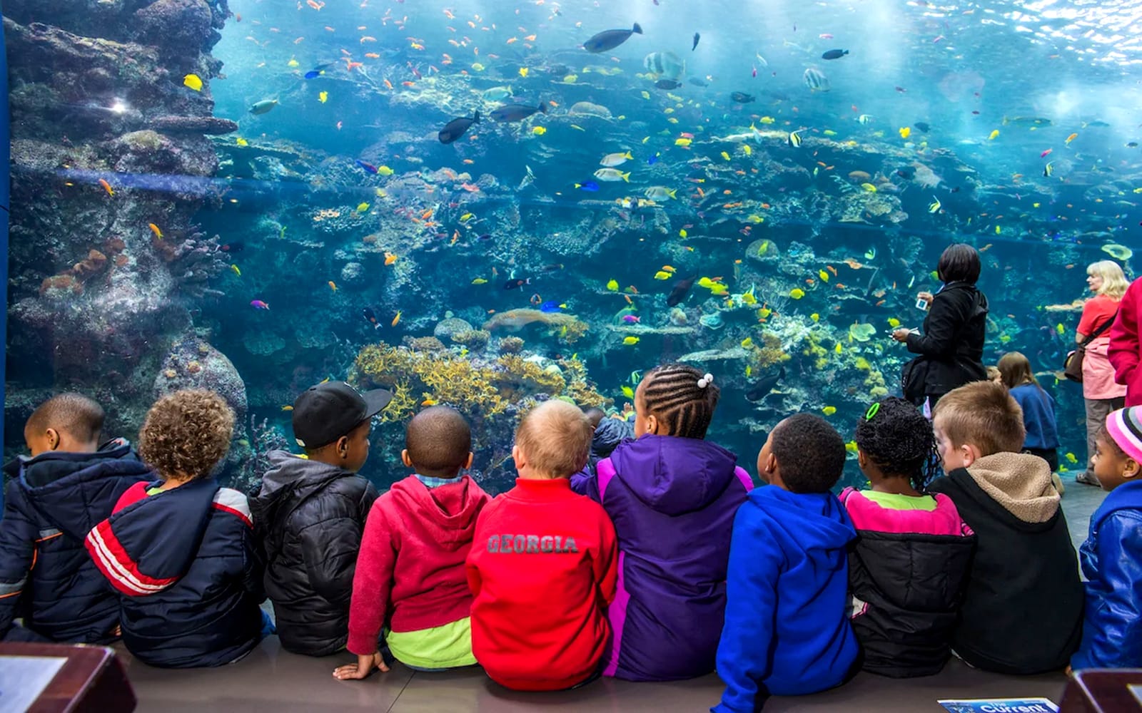 Georgia Aquarium Skip-the-Line Tickets in Atlanta - Activities | TickYourList