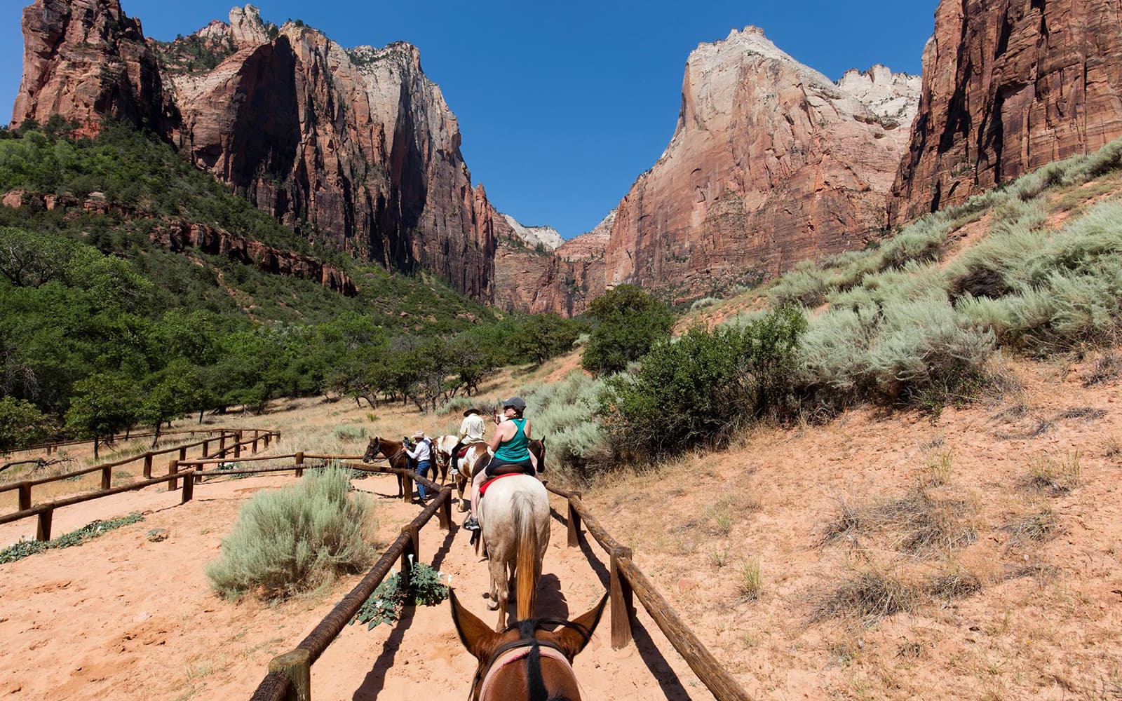 Valley of Fire and Zion Park Guided Group Tour