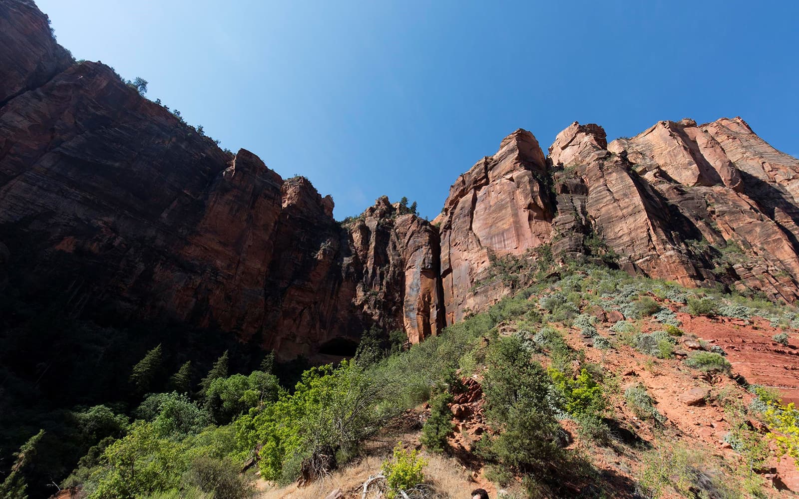 Valley of Fire and Zion Park Guided Group Tour tickets in Las Vegas - Features | TickYourList
