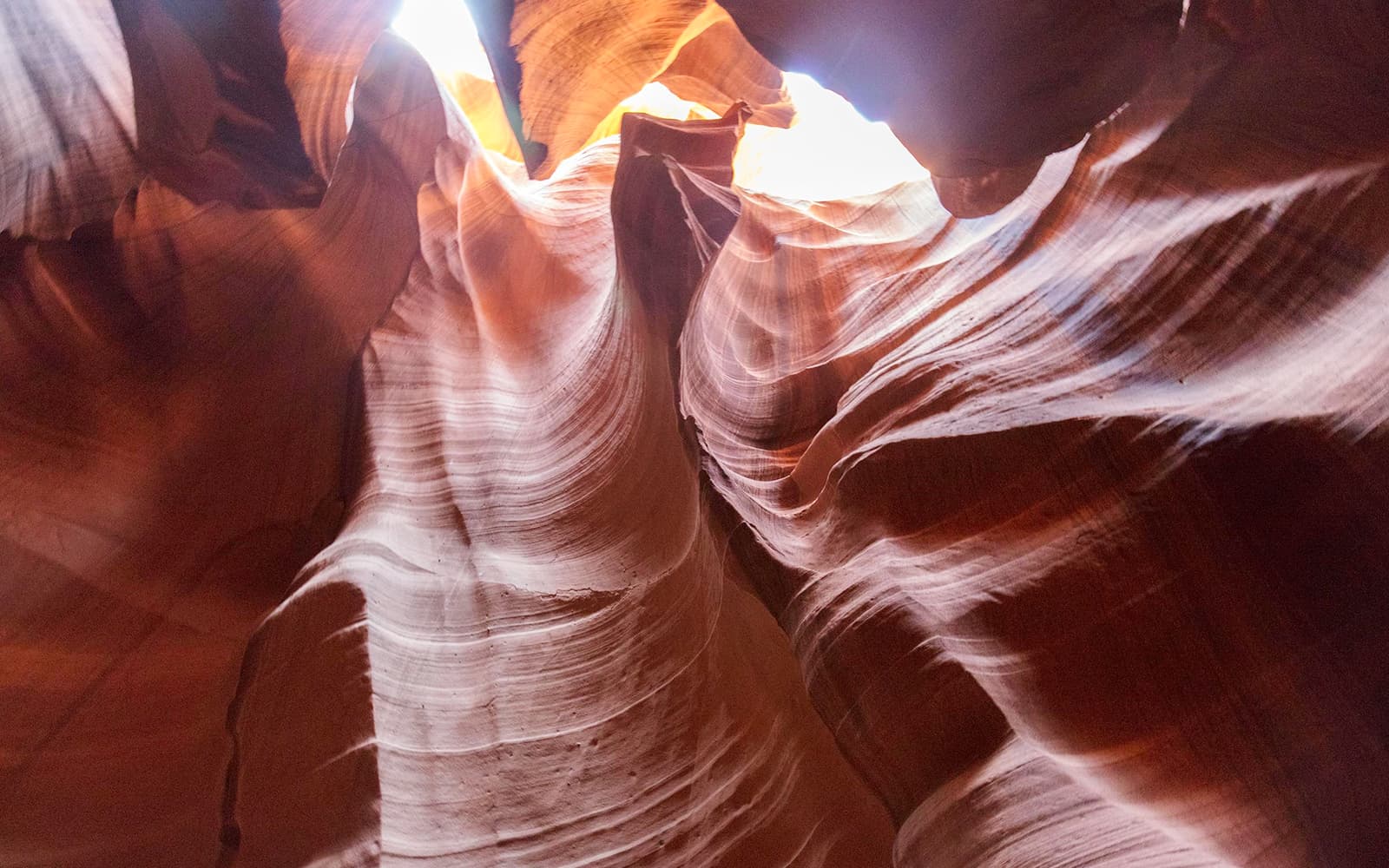 Antelope Canyon & Horseshoe Bend Group Tour tickets in Las Vegas - Highlights | TickYourList