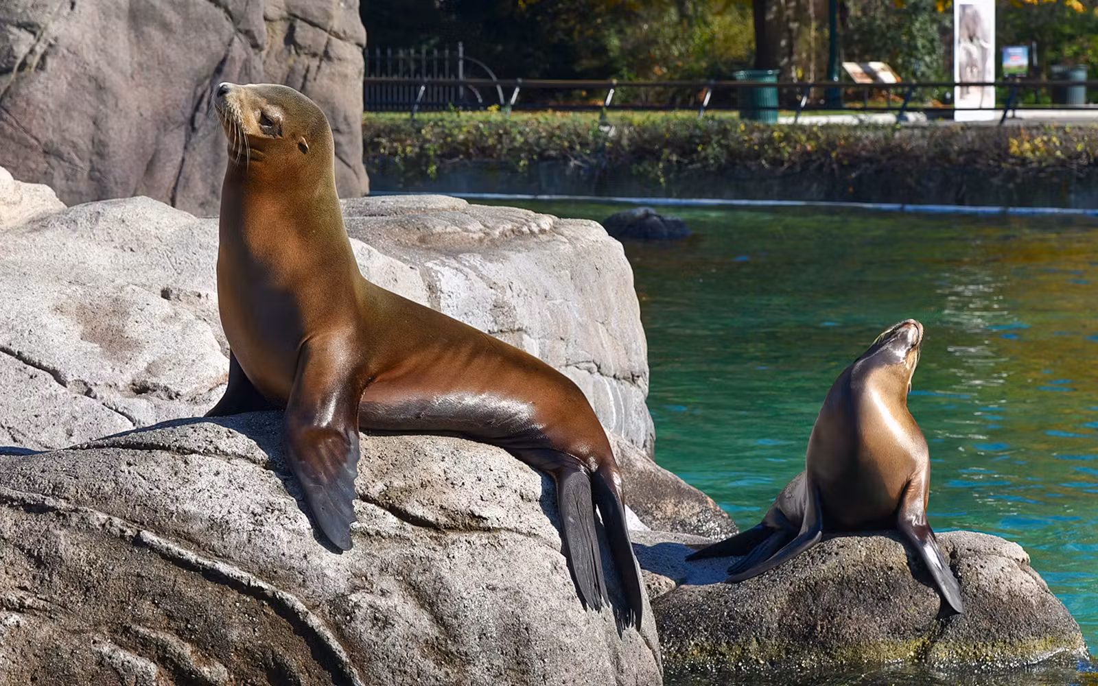 Bronx Zoo Tickets in New York - Highlights | TickYourList