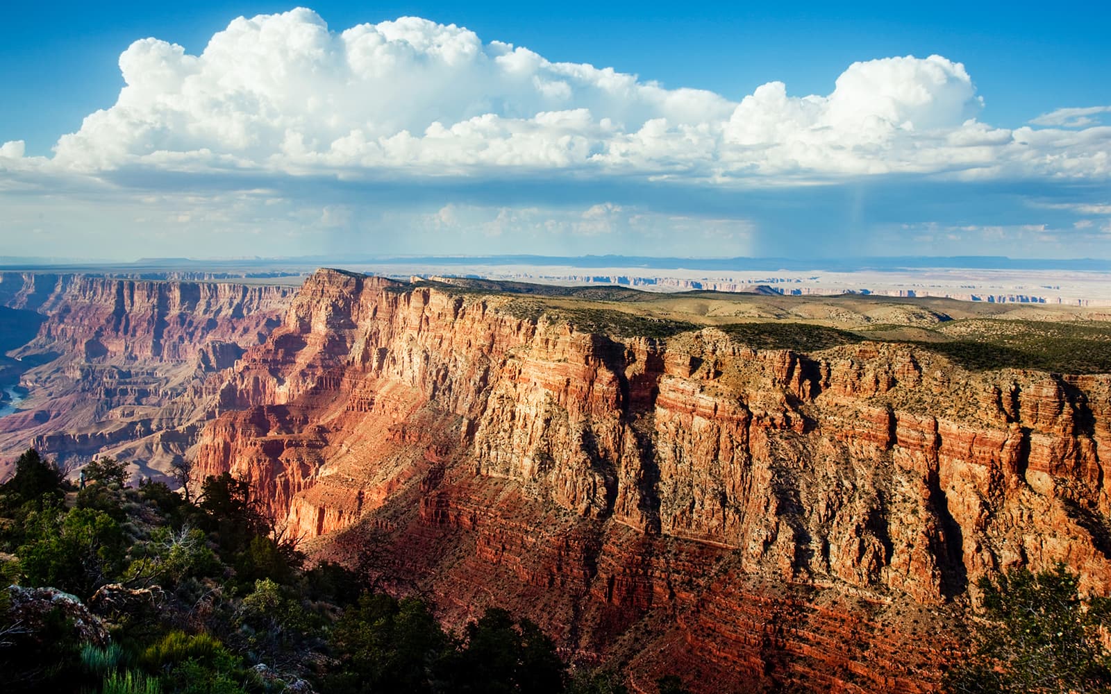 25/45-min Grand Canyon National Park Helicopter/Airplane & Hummer Tour tickets in Las Vegas - Activities | TickYourList