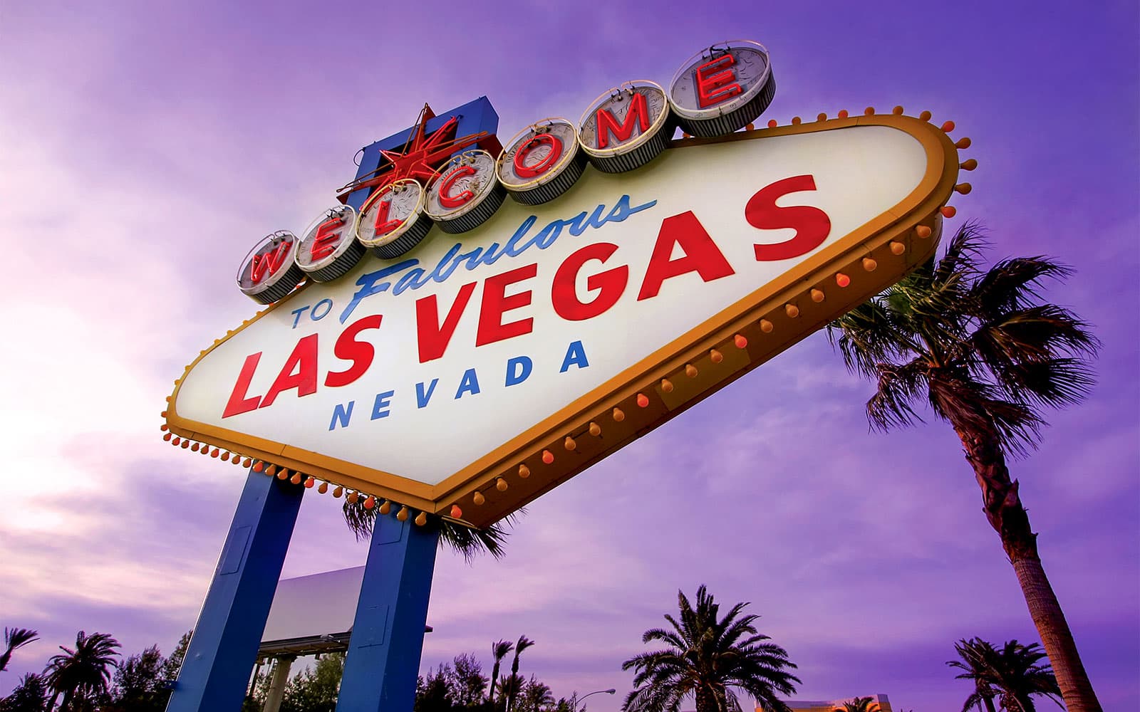 Big Bus: Las Vegas Night Bus Tour tickets in Las Vegas - Activities | TickYourList