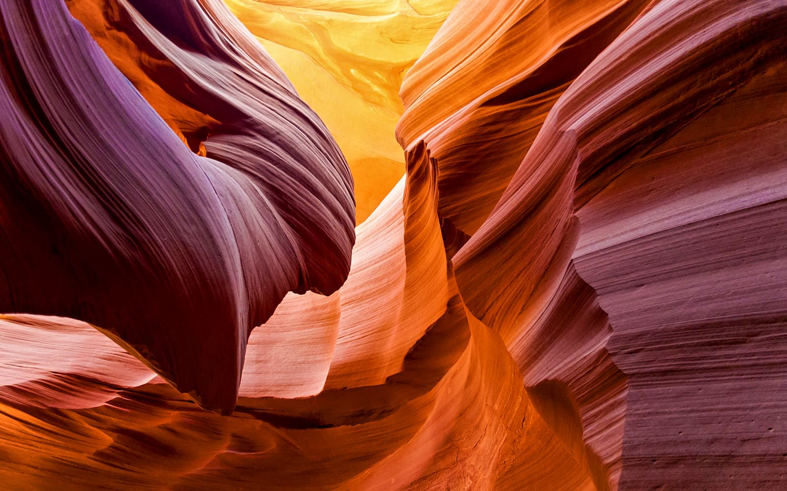 From Las Vegas: Antelope Canyon & Horseshoe Bend Airplane & Ground Tour tickets in Las Vegas - Activities | TickYourList