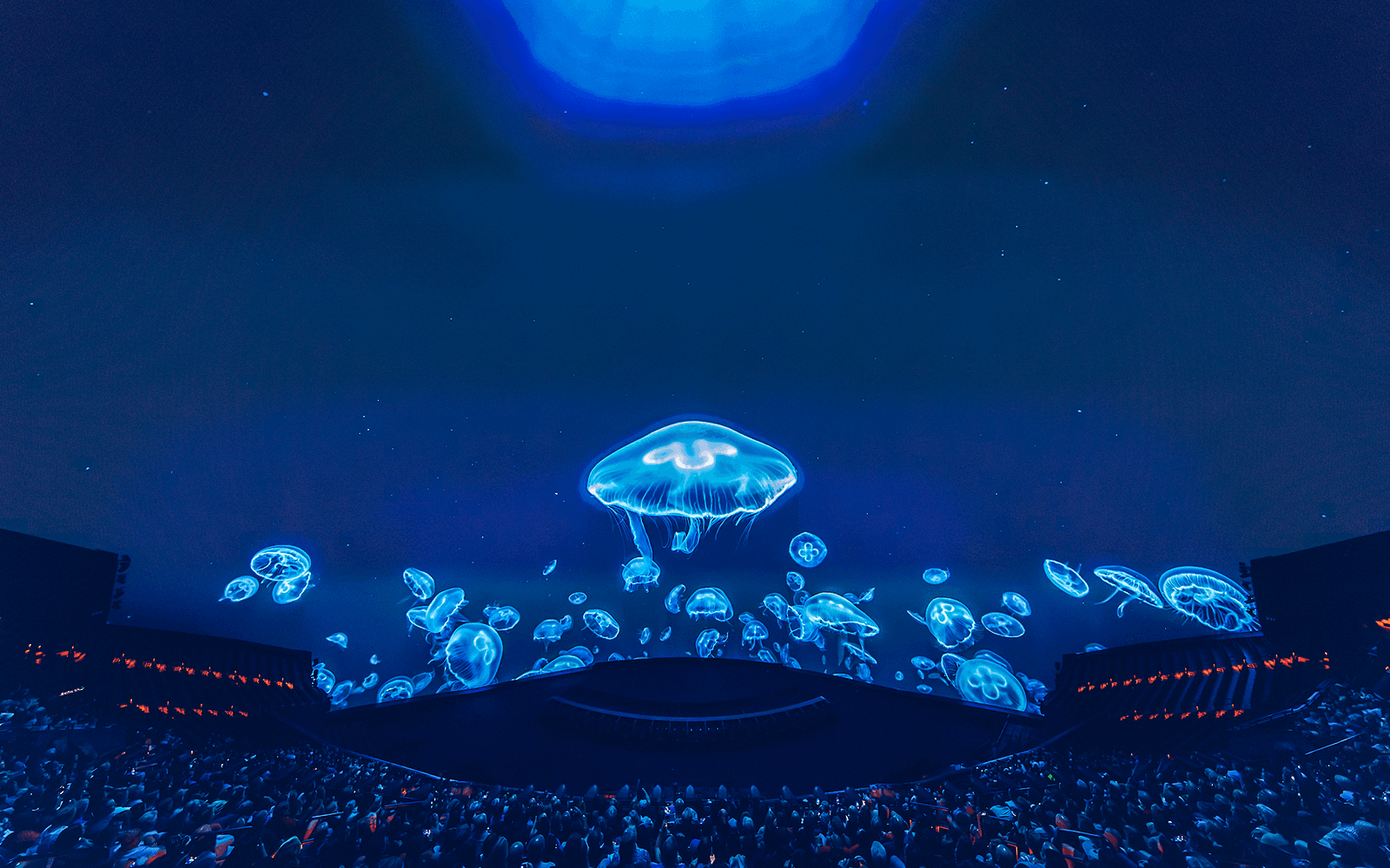 The Sphere Experience Postcard from Earth tickets in Las Vegas - Highlights | TickYourList