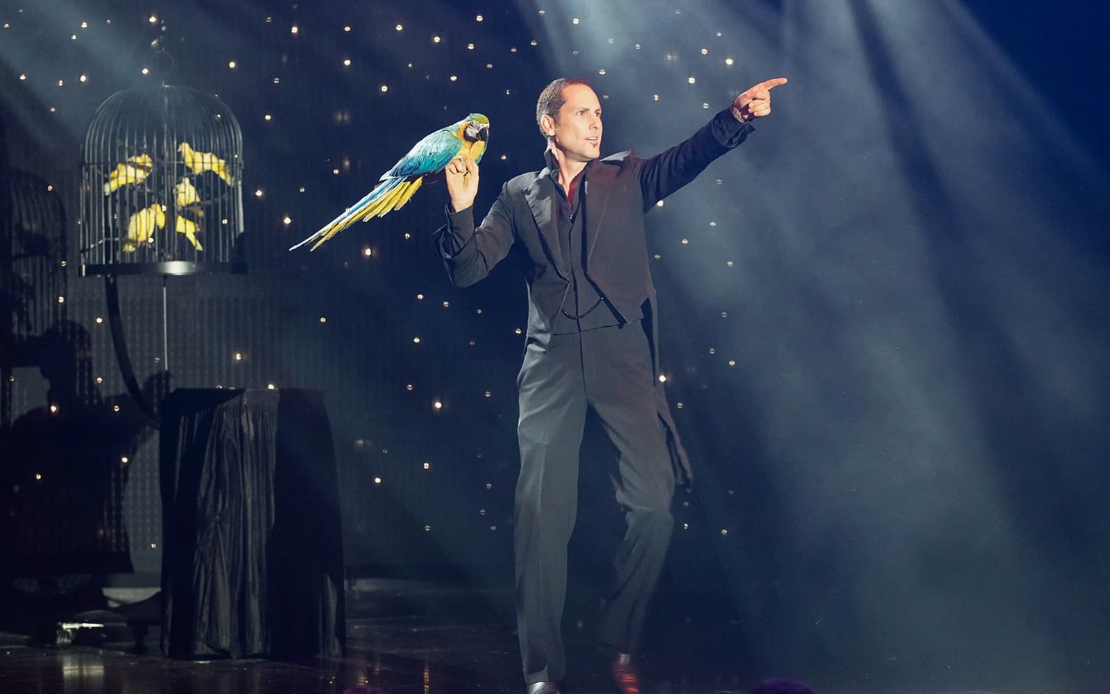 V - The Ultimate Variety Show tickets in Las Vegas - Highlights | TickYourList