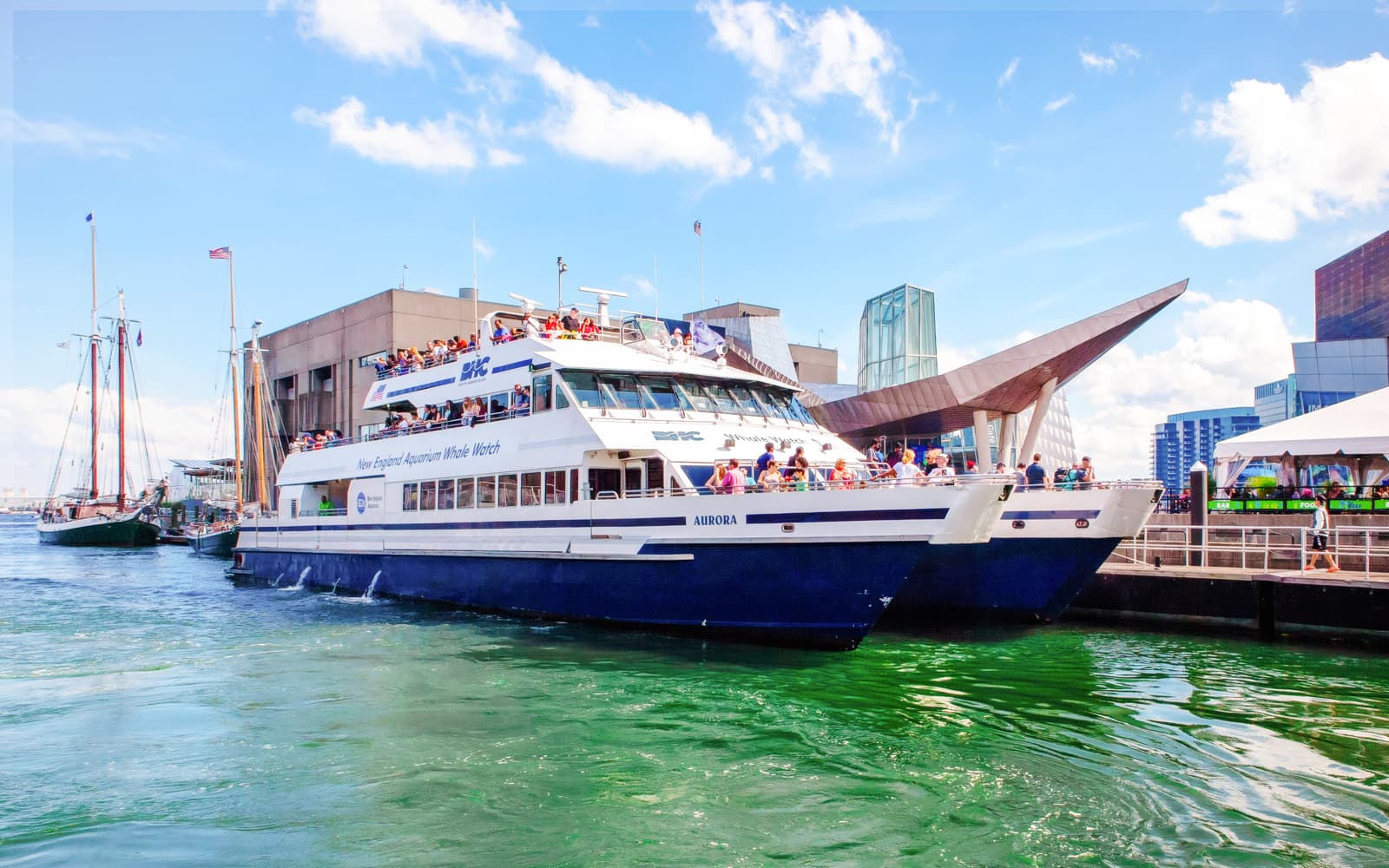 Boston Whale Watching Cruise by New England Aquarium