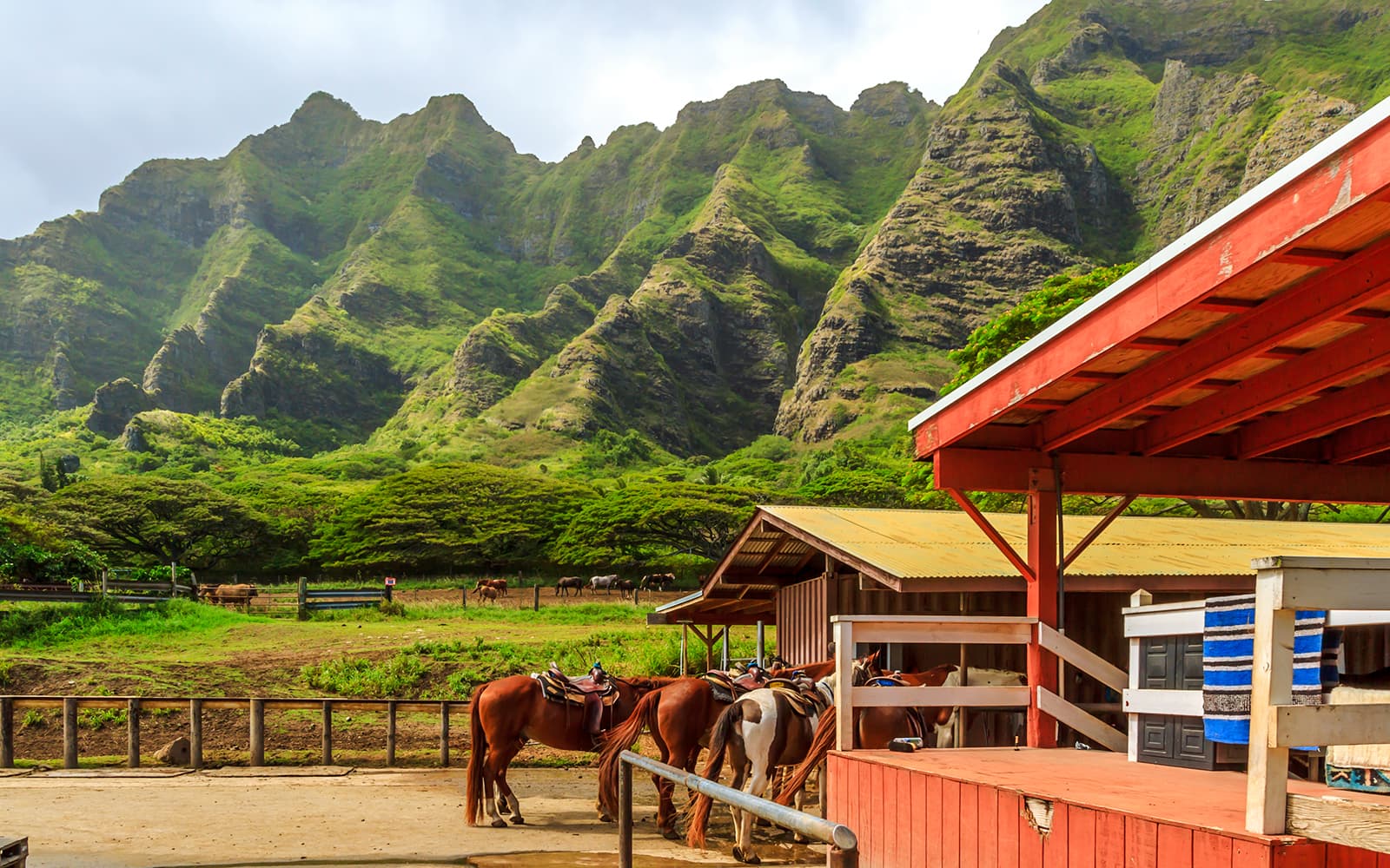 Kualoa Ranch: Horseback Walking Tour tickets in Hawaii - Attractions | TickYourList