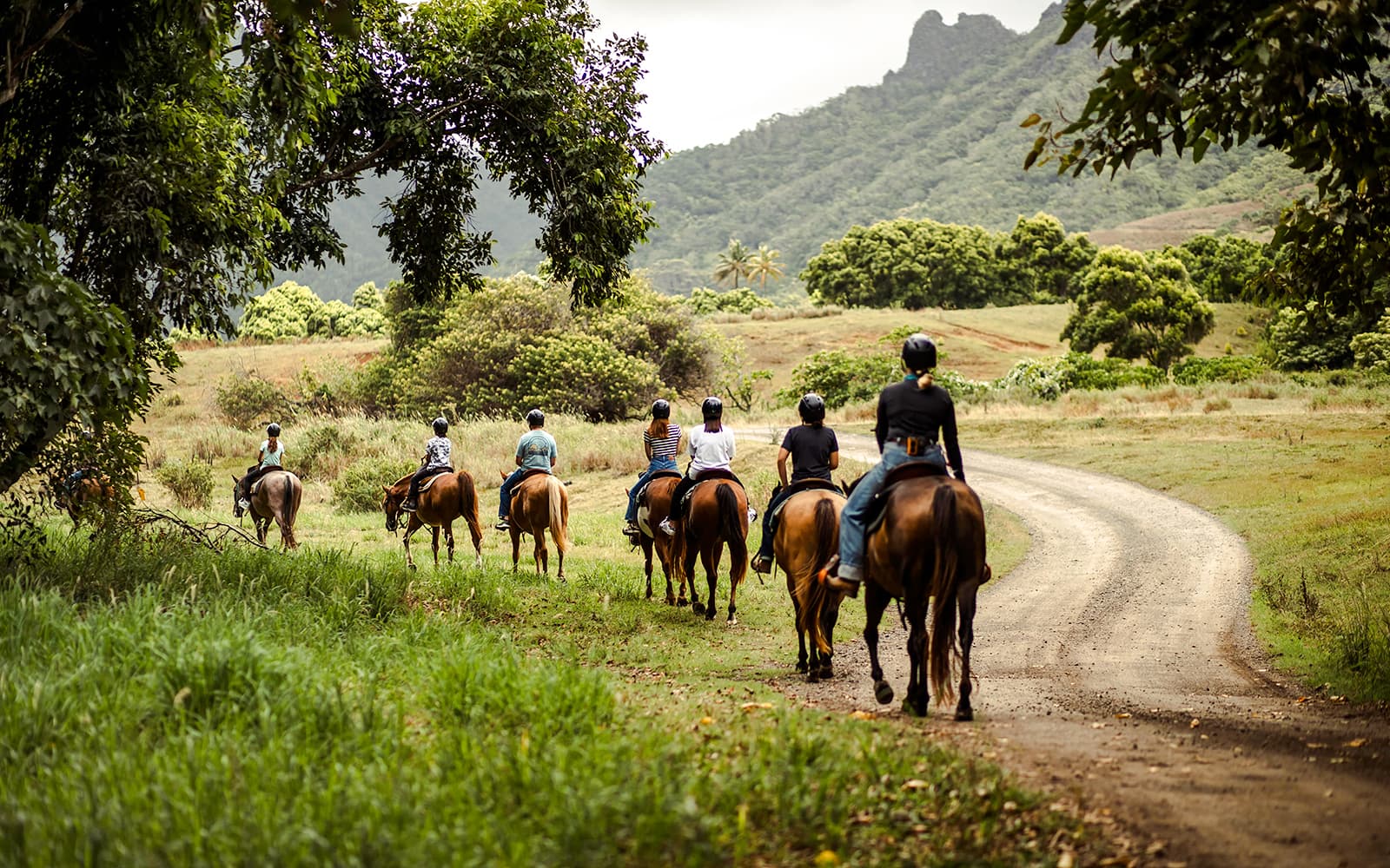 Kualoa Ranch: Horseback Walking Tour tickets in Hawaii - Activities | TickYourList