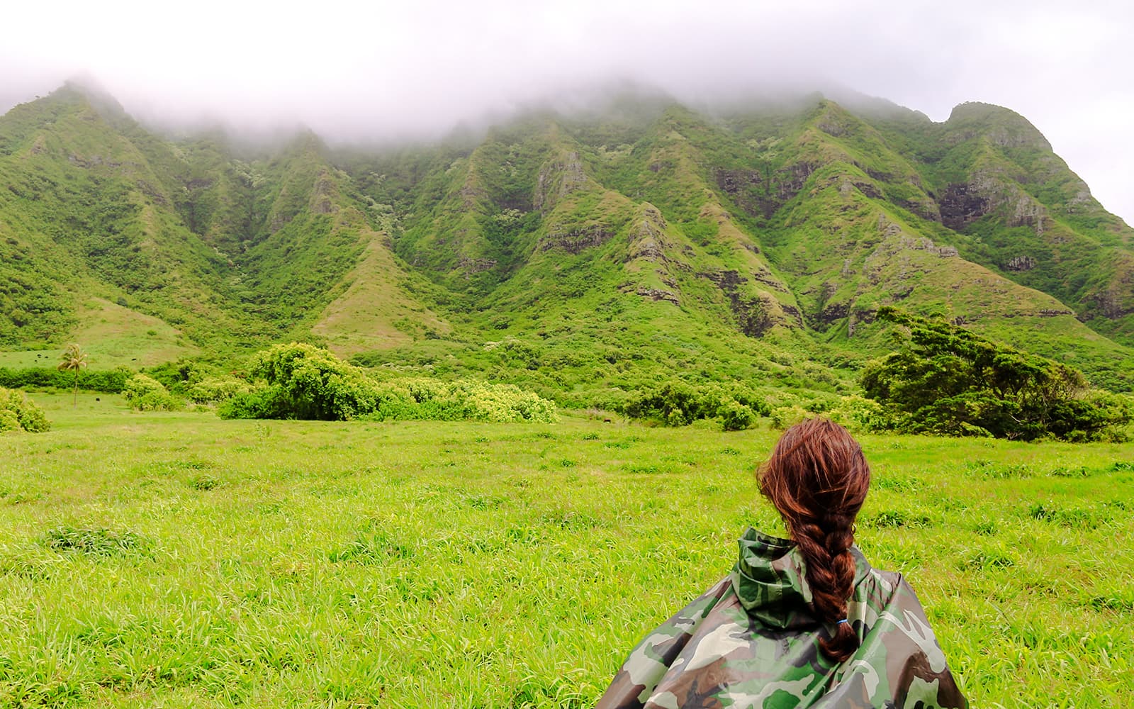 Kualoa Ranch: Jungle Expedition Tour tickets in Hawaii - Activities | TickYourList