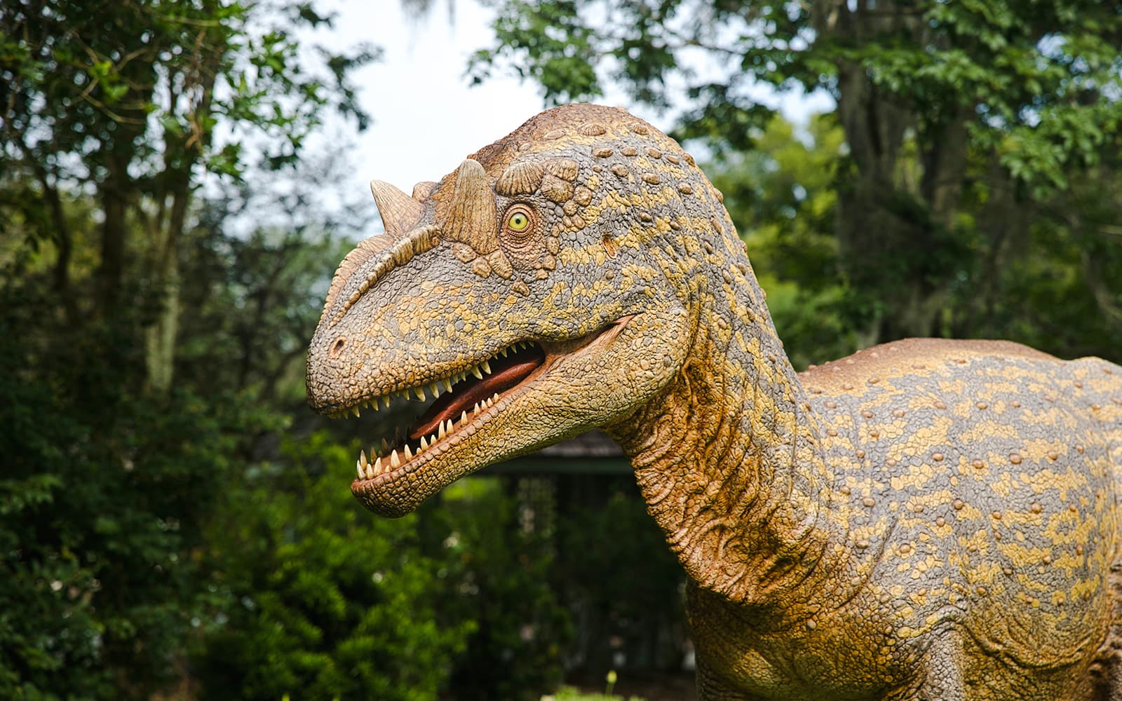 Kualoa Ranch: Jurassic Adventure Tour tickets in Hawaii - Features | TickYourList