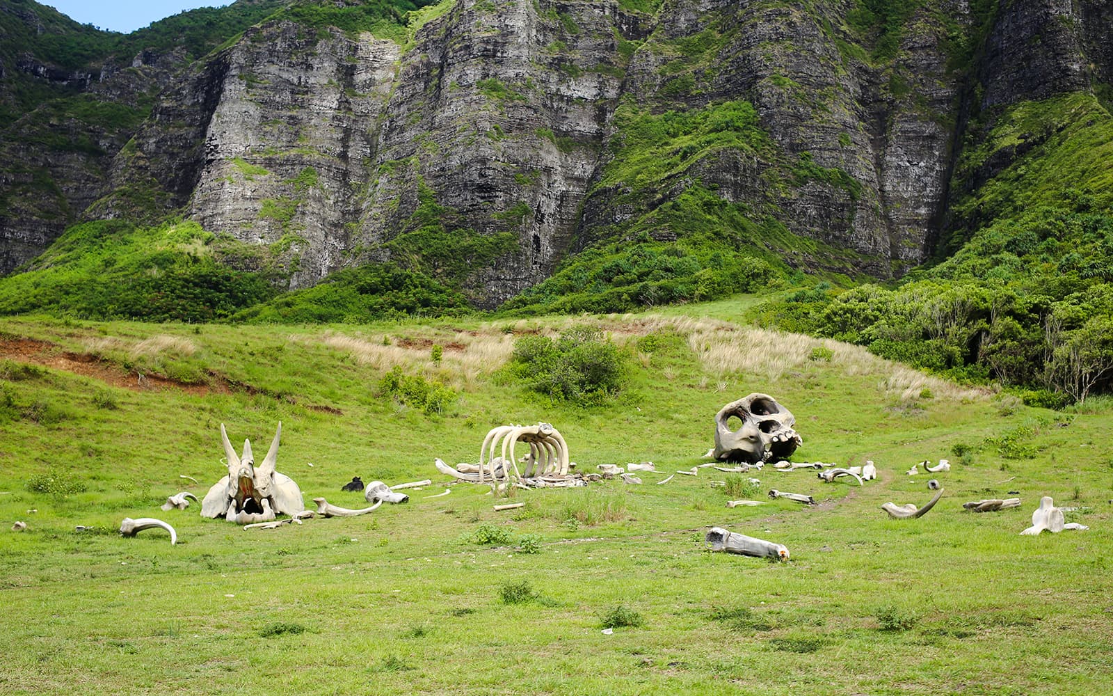 Kualoa Ranch: Movie Sites and Ranch Tour tickets in Hawaii - Attractions | TickYourList