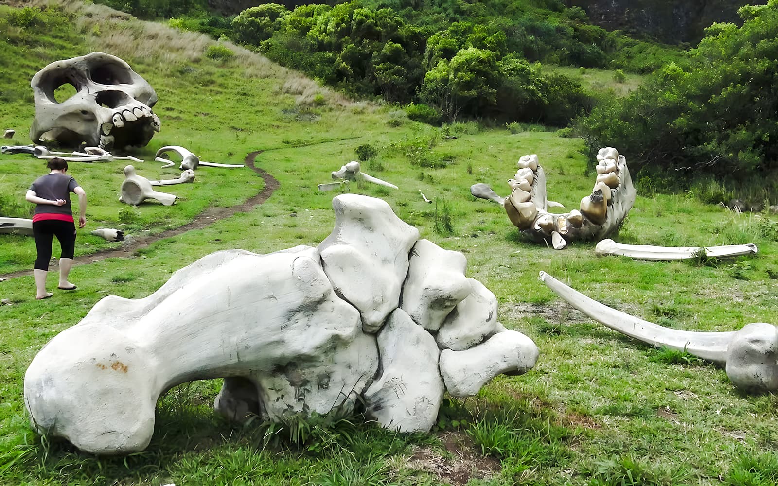 Kualoa Ranch: Movie Sites and Ranch Tour tickets in Hawaii - Features | TickYourList