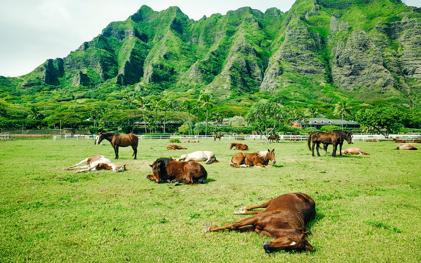 Kualoa Ranch: UTV Raptor Tour tickets in Hawaii - Features | TickYourList