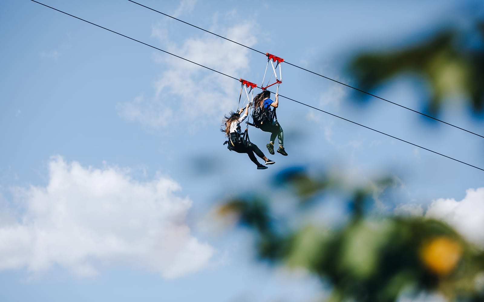 Kualoa Ranch: Jurassic Valley Zipline Tour tickets in Hawaii - Attractions | TickYourList