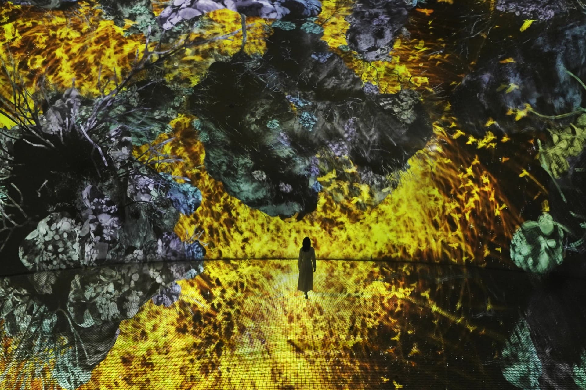 teamLab Phenomena ticket in Abu Dhabi