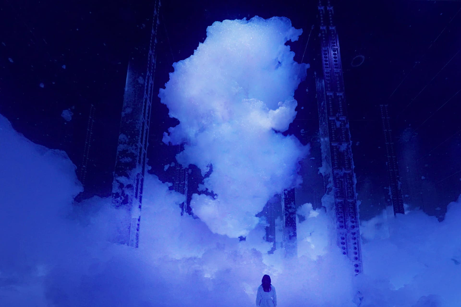 teamLab Phenomena experience in Abu Dhabi