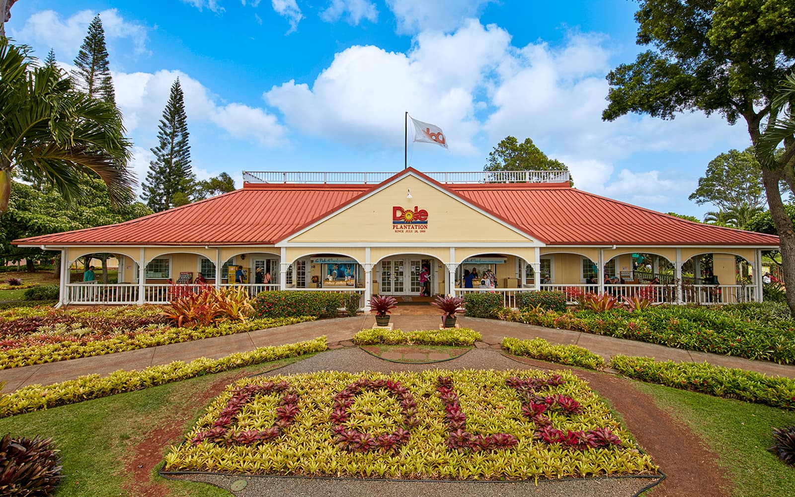 Haleiwa & Dole Plantation Express Half-Day Tour