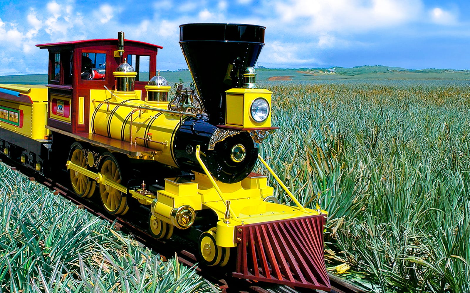 Haleiwa & Dole Plantation Express Half-Day Tour tickets in Hawaii - Highlights | TickYourList