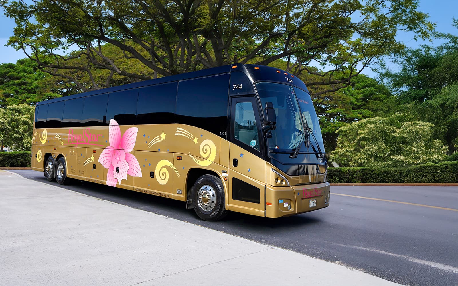 Haleiwa & Dole Plantation Express Half-Day Tour tickets in Hawaii - Features | TickYourList