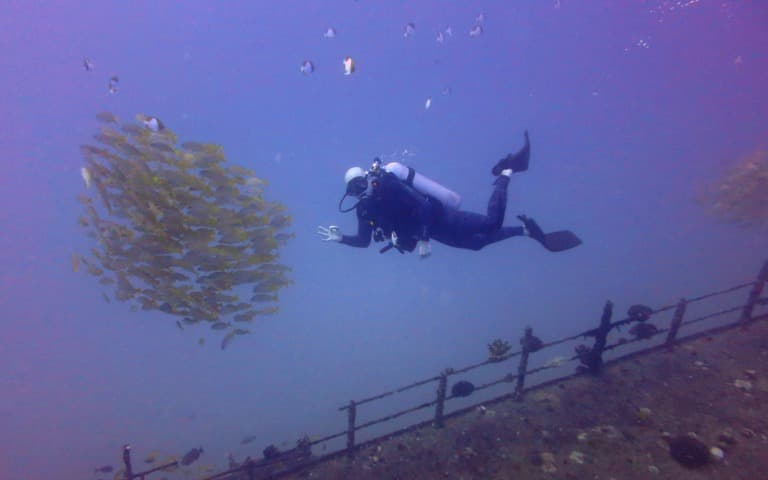 Deep and Shallow Reef Diving Adventure