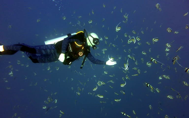 Shallow Reef Diving Adventure tickets in Hawaii | TickYourList