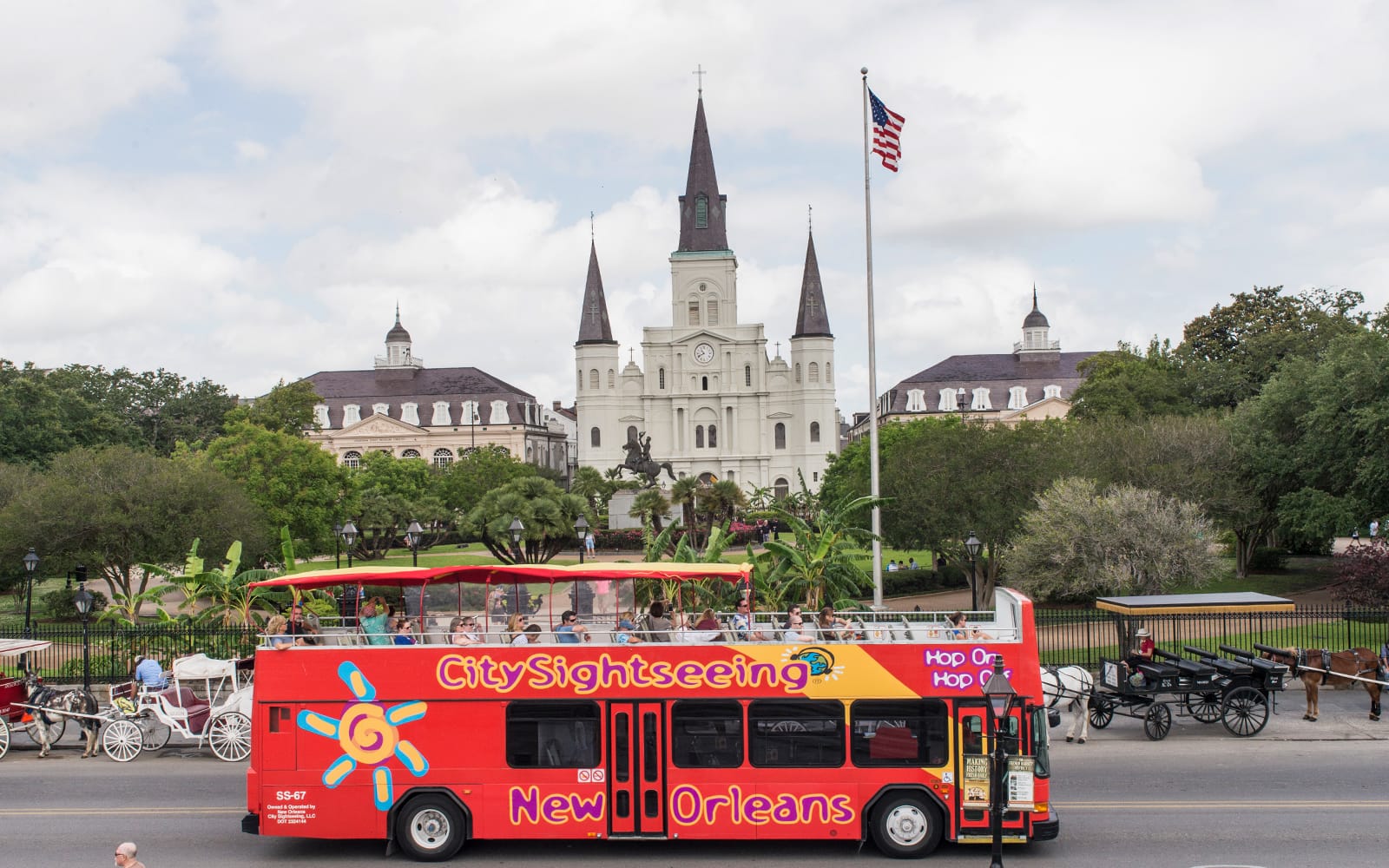 City Sightseeing: New Orleans Hop-on Hop-off Bus Tour experience tickets in New Orleans | TickYourList
