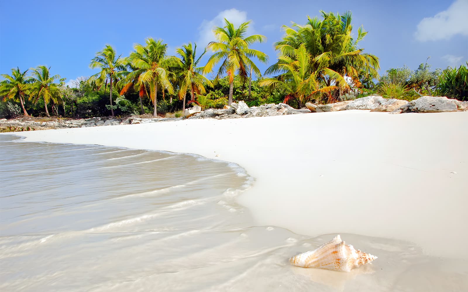 From Fort Lauderdale: Bimini Bahamas Day Trip by Ferry tickets in Miami - Activities | TickYourList