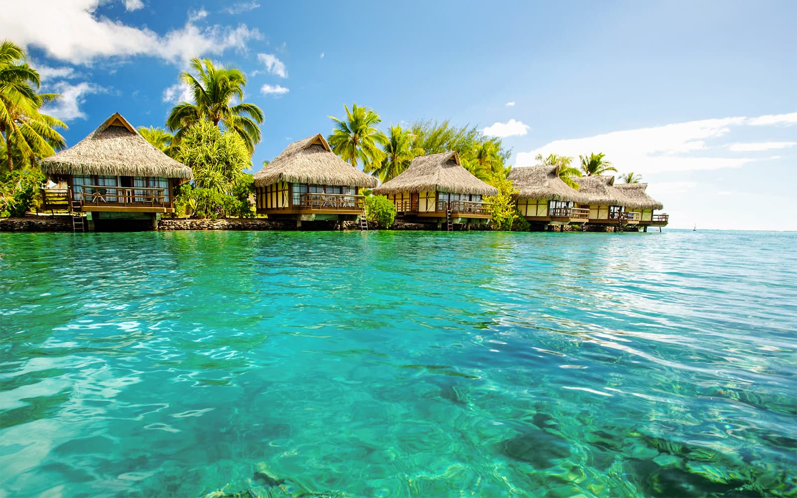 From Fort Lauderdale: Bimini Bahamas Day Trip by Ferry tickets in Miami - Features | TickYourList