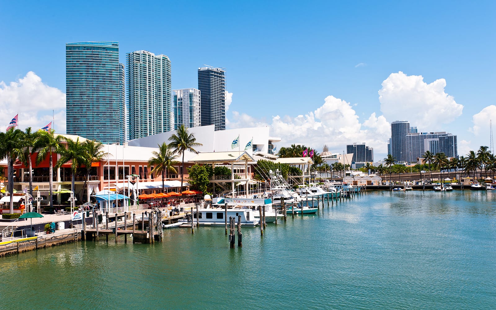 Go City Miami All-Inclusive Pass: Choose from 35 Attractions tickets in Miami - Highlights | TickYourList