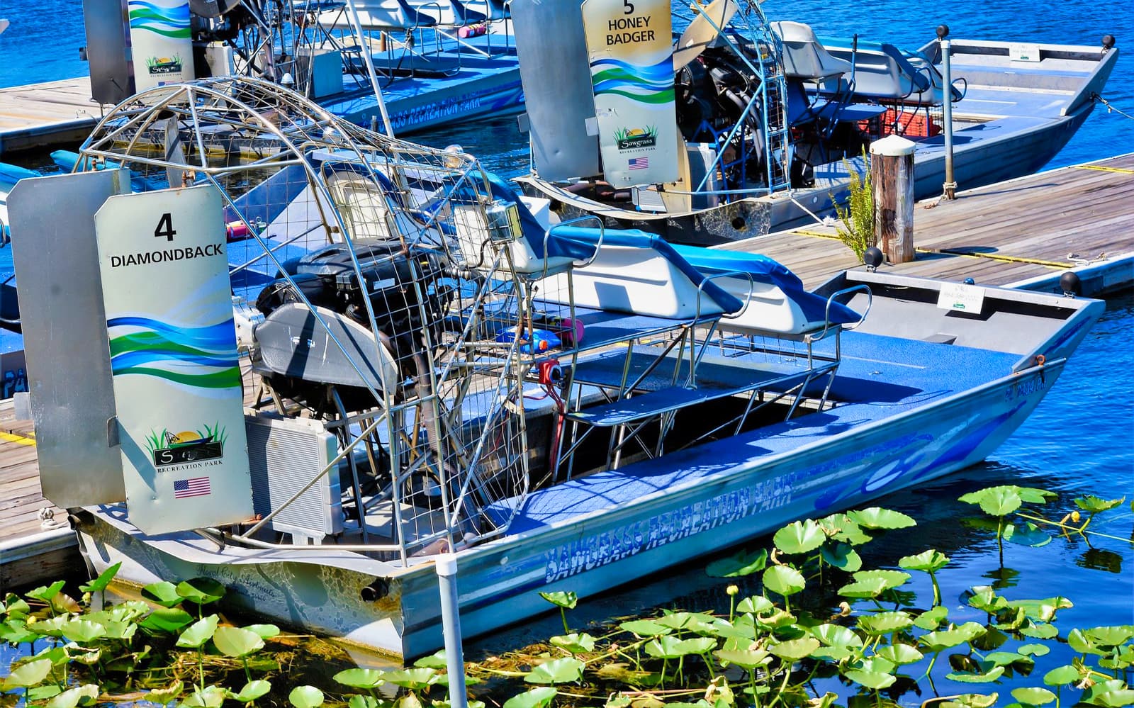 Airboat and Alligator Show with Transfers from Miami tickets in Miami - Explore More | TickYourList