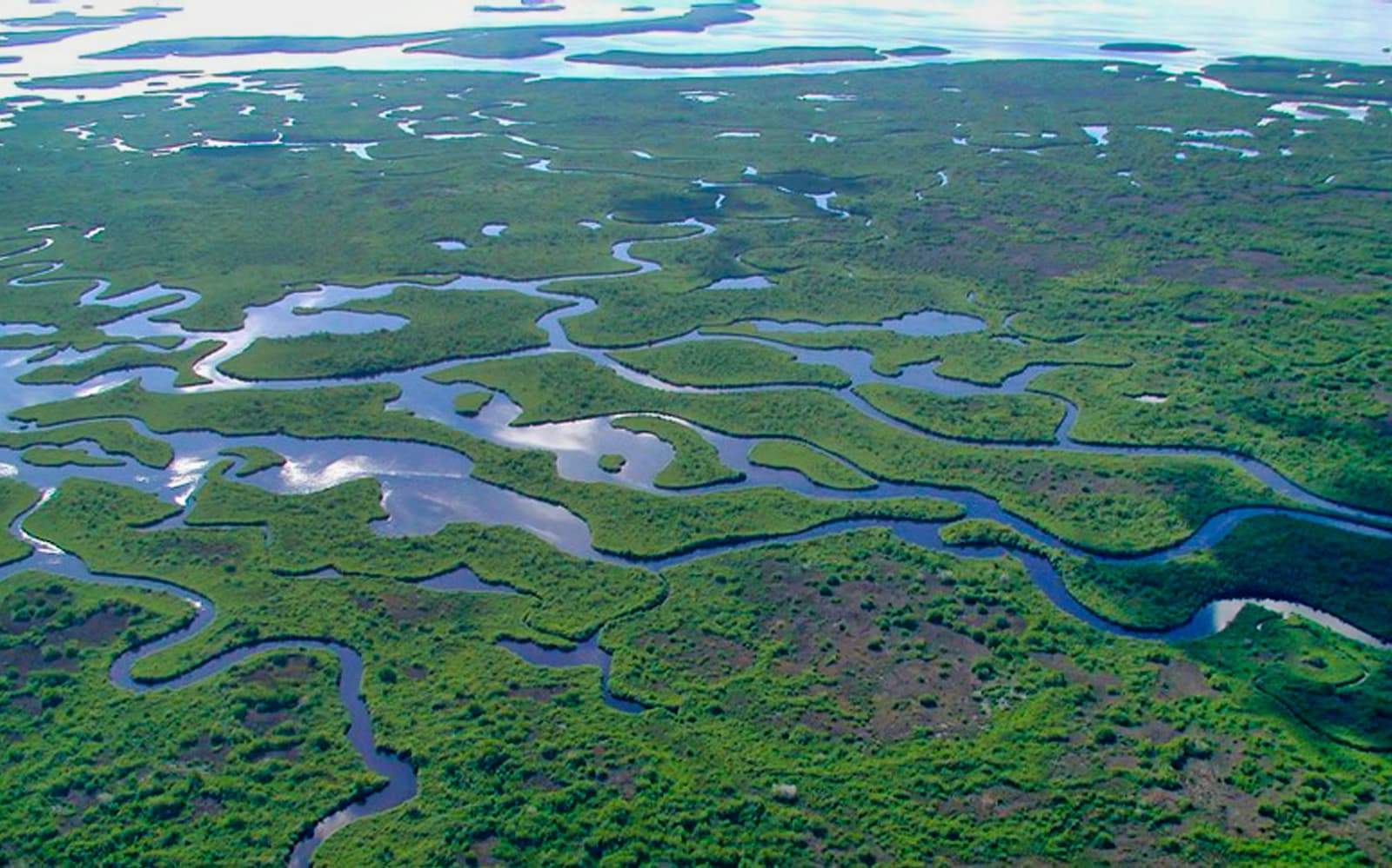 Everglades Tour with Transfers from Miami tickets in Miami - Activities | TickYourList