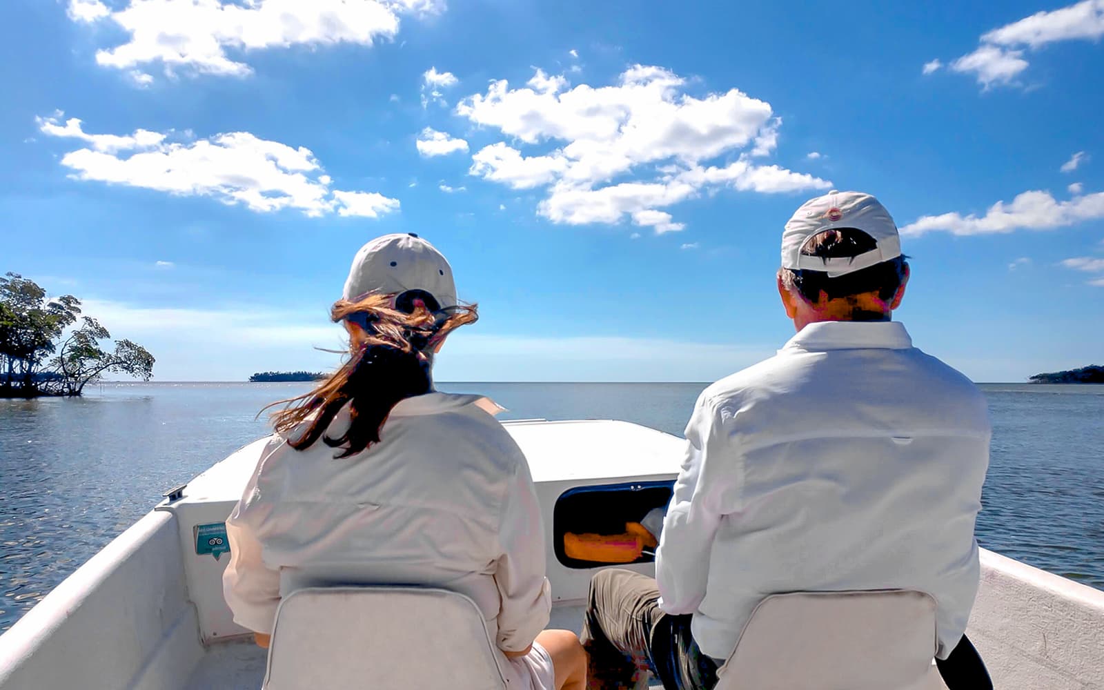 Everglades National Park: Full‑Day Tour with Airboat, Dry Walk & Transportation