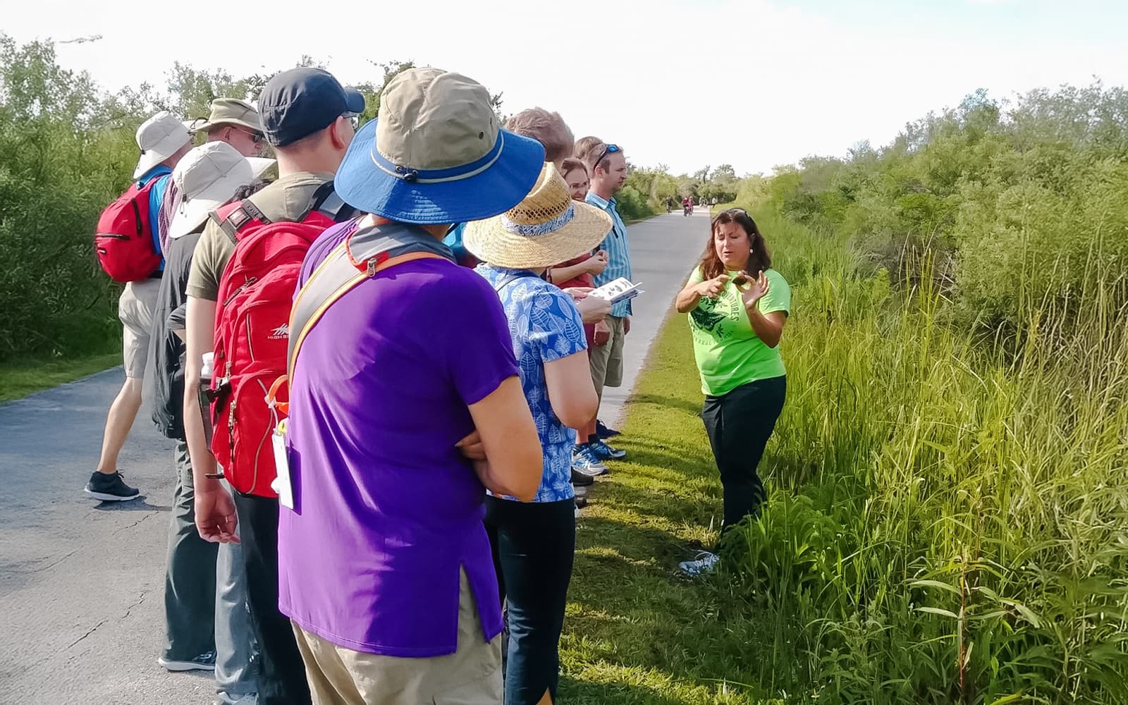 Everglades National Park: Half‑Day Tour with Airboat, Guided Nature Walk & Transportation tickets in Miami - Activities | TickYourList