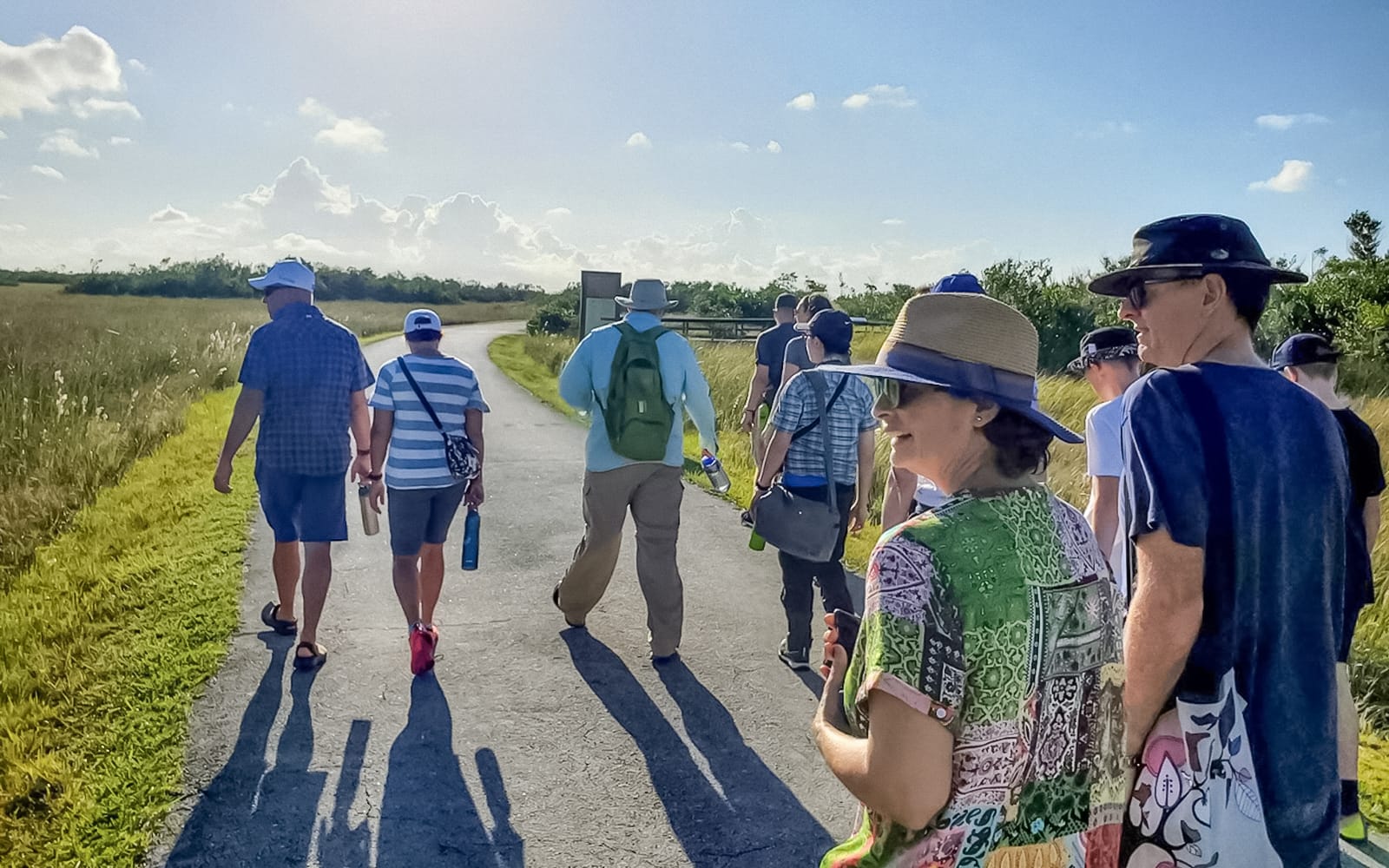 Everglades National Park: Half‑Day Tour with Airboat, Guided Nature Walk & Transportation tickets in Miami - Highlights | TickYourList