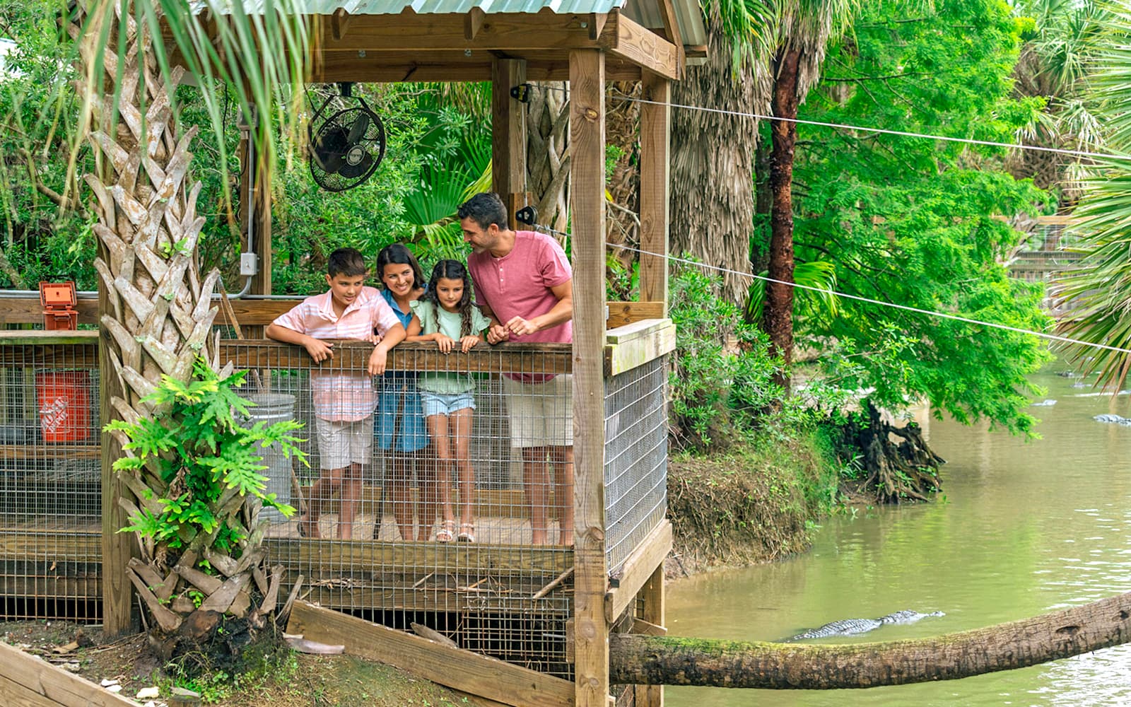 Orlando: Wild Florida 1‑Hour Airboat Tour with Gator Park Tickets in Miami - Features | TickYourList