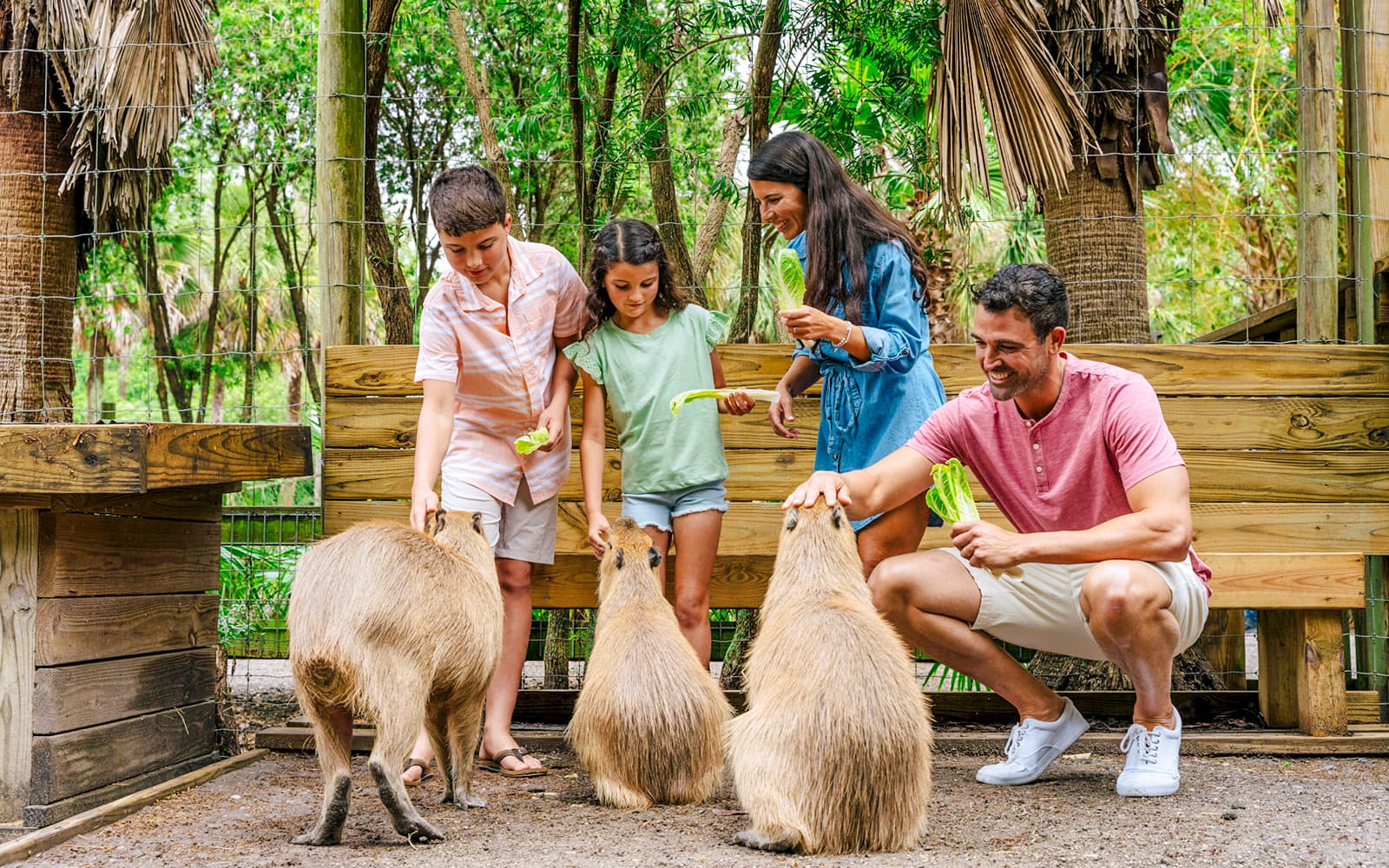 Orlando: Wild Florida Airboat Tour with Gator Park Tickets in Miami - Features | TickYourList