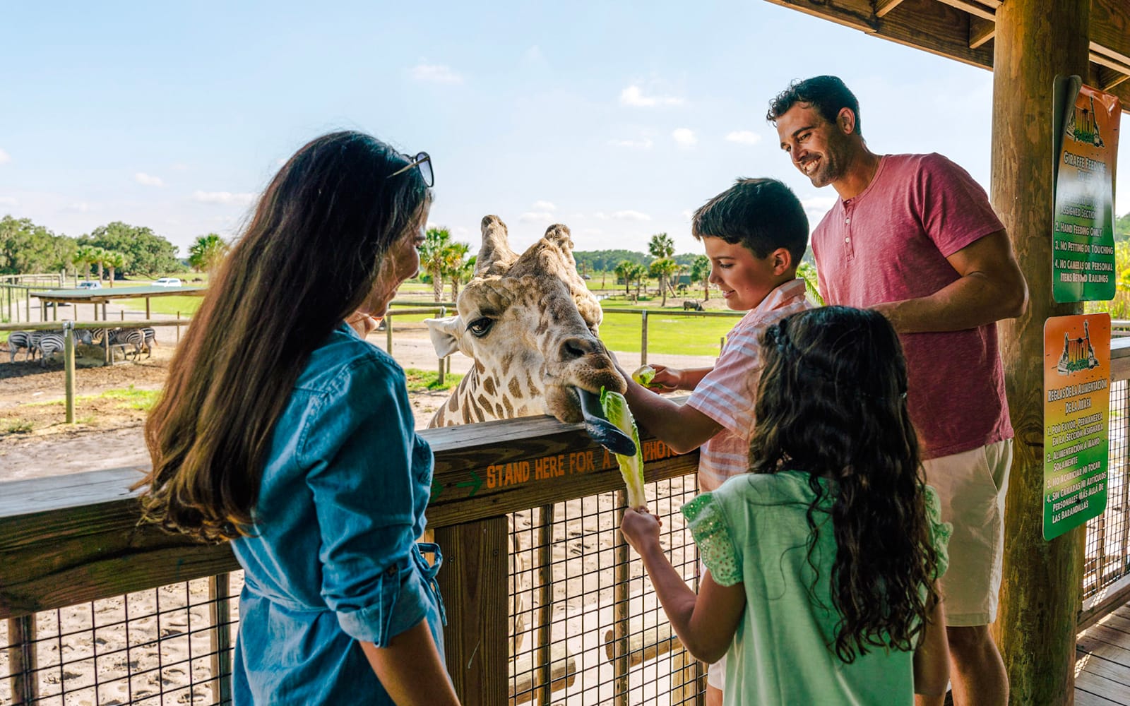 Orlando: Wild Florida Drive‑Thru Safari Park tickets in Miami - Activities | TickYourList